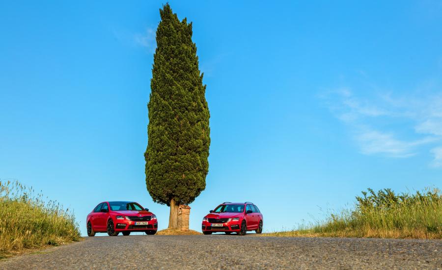  Skoda Octavia RS 245 Combi 2017 года  (WW) (фото 27 из 38)